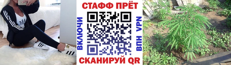 Наркошоп купить МДМА  МЕФ  ГАШ  Щёлкино
