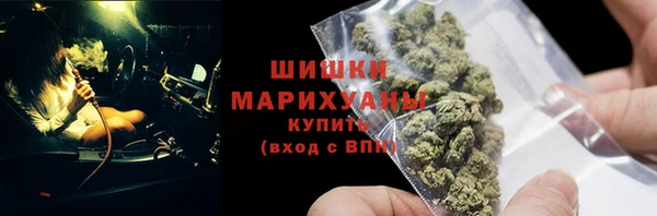 крисы Заводоуковск