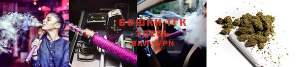 крисы Заводоуковск