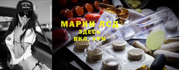 крисы Заводоуковск