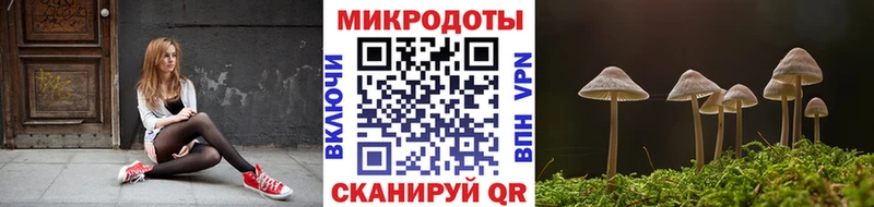 Галлюциногенные грибы MAGIC MUSHROOMS  Купить где  Щёлкино 
